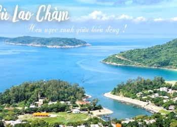 Trải Nghiệm Lặn Ngắm San Hô Tại Cù Lao Chàm – Điểm Đến Không Thể Bỏ Lỡ