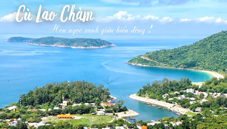 Trải Nghiệm Lặn Ngắm San Hô Tại Cù Lao Chàm – Điểm Đến Không Thể Bỏ Lỡ
