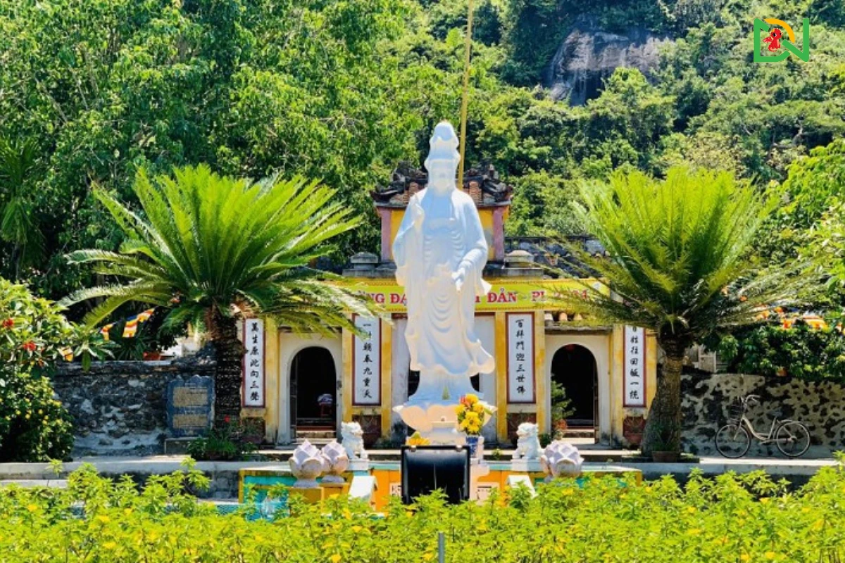Kinh nghiệm du lịch tự túc tại Cù Lao Chàm