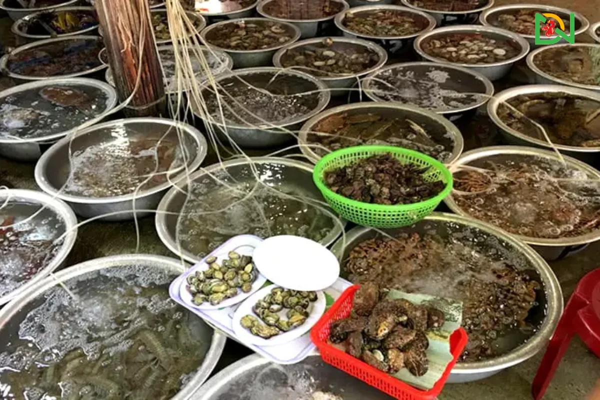 Kinh nghiệm du lịch tự túc tại Cù Lao Chàm